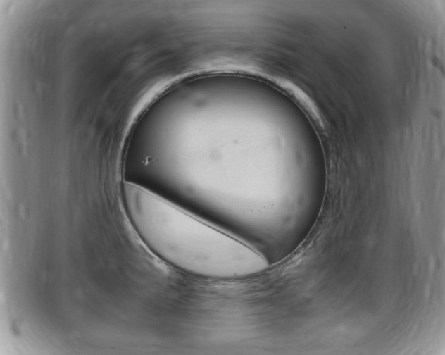 X0000099431191200805090720