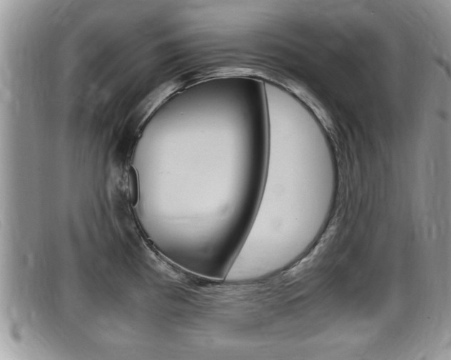 X0000099431193200805090720