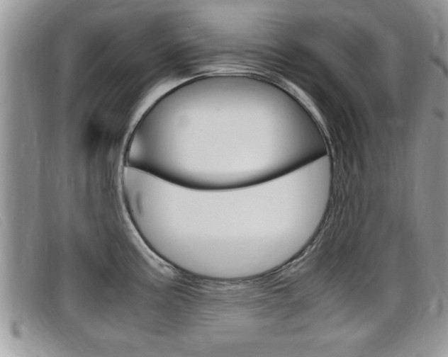 X0000099431195200805090720