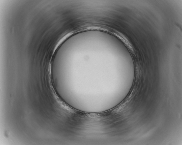 X0000099431198200805090720