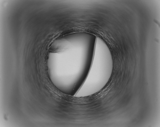 X0000099431201200805090719