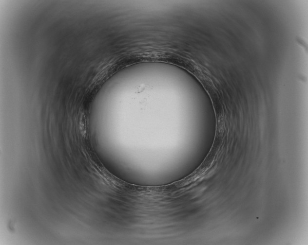 X0000099431202200805090719
