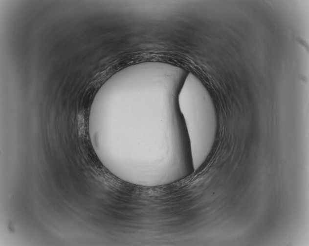 X0000099431203200805090719
