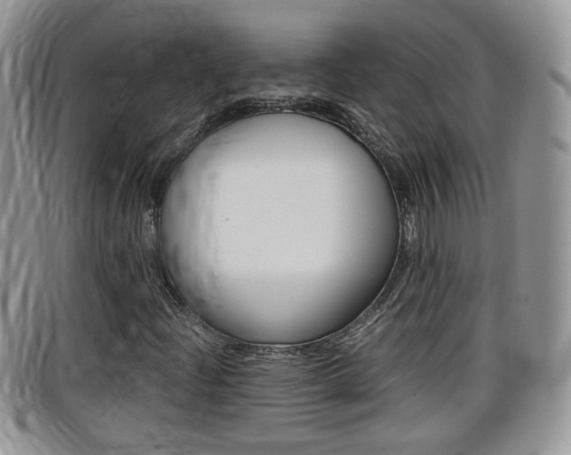 X0000099431204200805090719