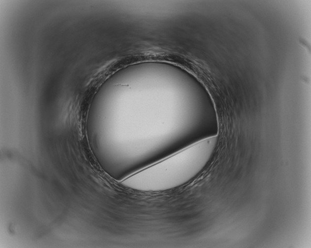X0000099431205200805090719
