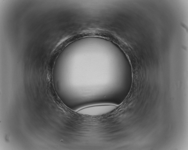 X0000099431206200805090719