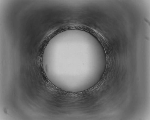X0000099431207200805090719