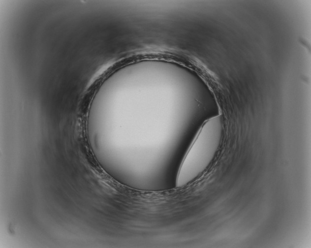 X0000099431208200805090719