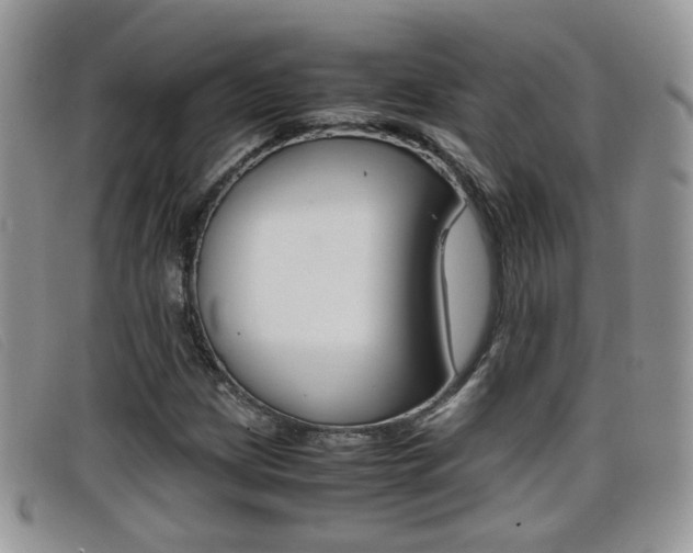 X0000099431209200805090719