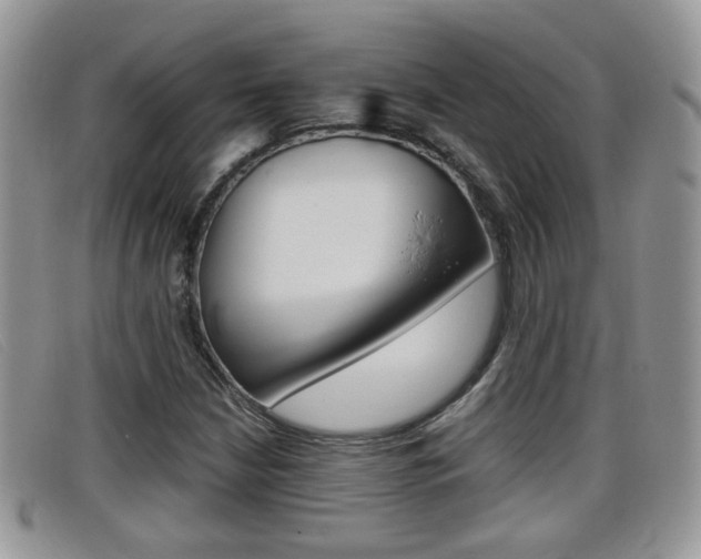 X0000099431210200805090719