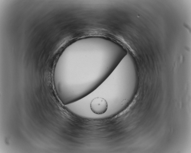 X0000099431211200805090719