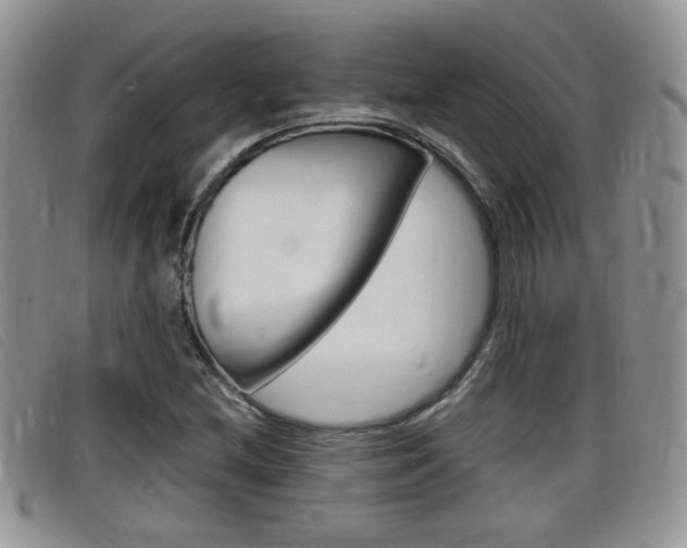 X0000099431212200805090719