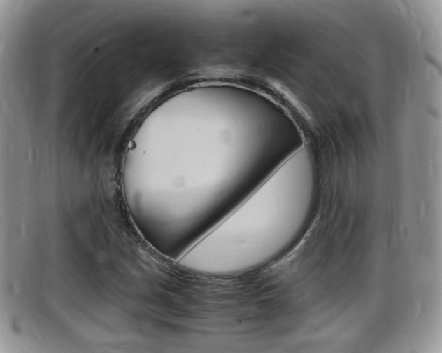 X0000099431213200805090719