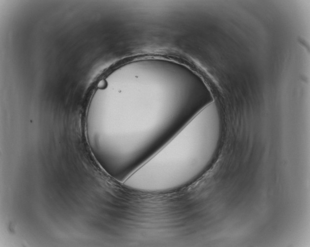 X0000099431214200805090719