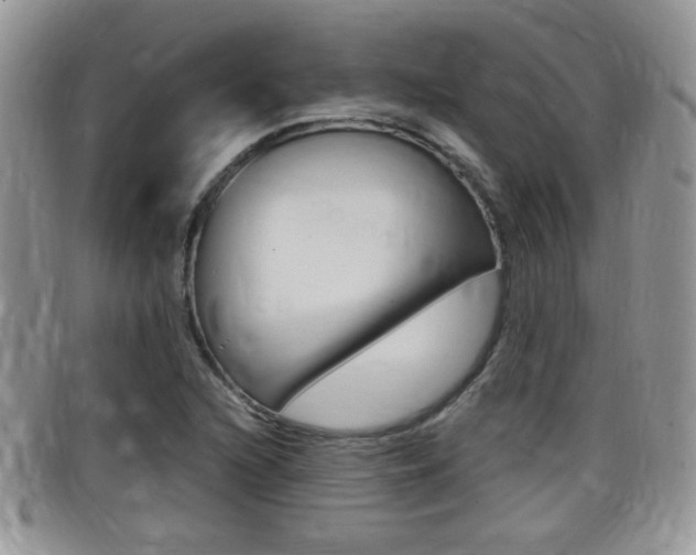X0000099431216200805090719
