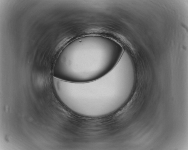 X0000099431217200805090719