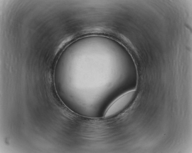 X0000099431218200805090719