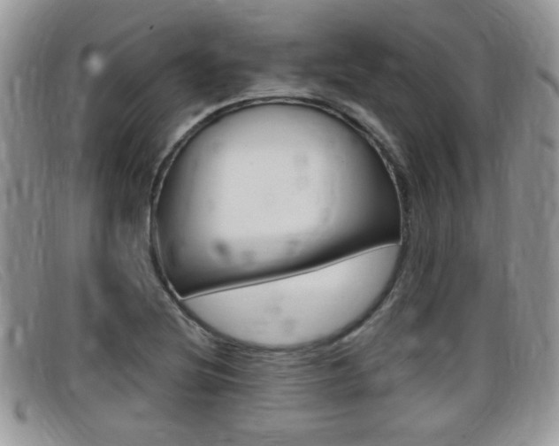 X0000099431220200805090720