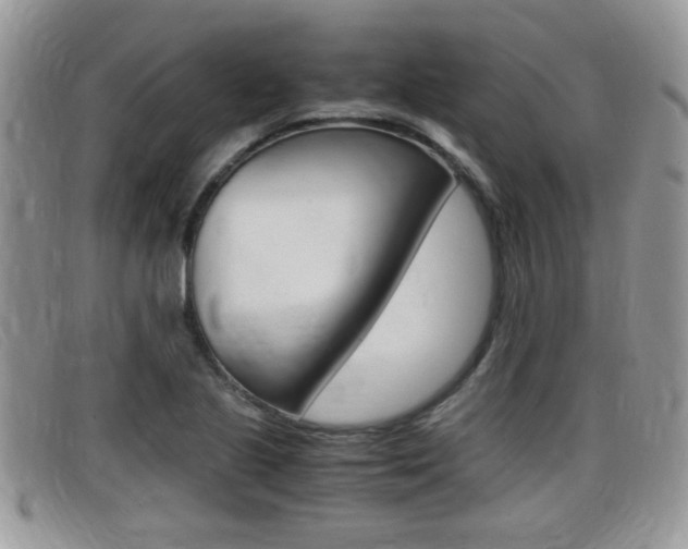 X0000099431221200805090720
