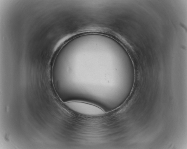 X0000099431222200805090720
