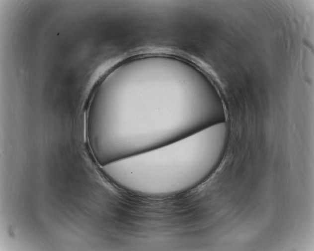 X0000099431223200805090720