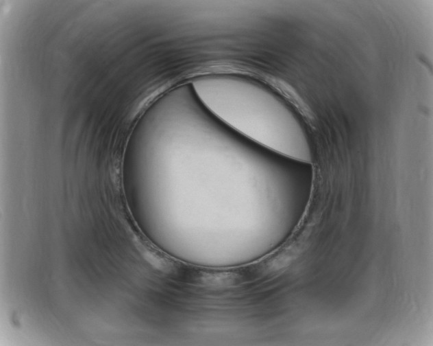 X0000099431225200805090720