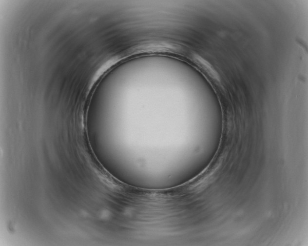 X0000099431226200805090720