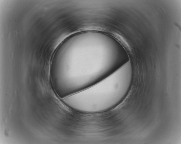 X0000099431228200805090720