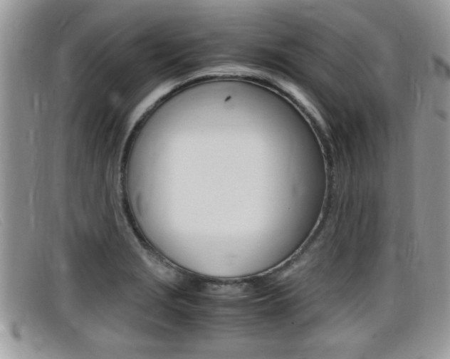 X0000099431229200805090720