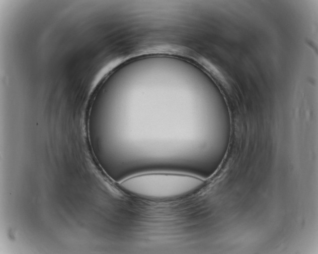 X0000099431230200805090720