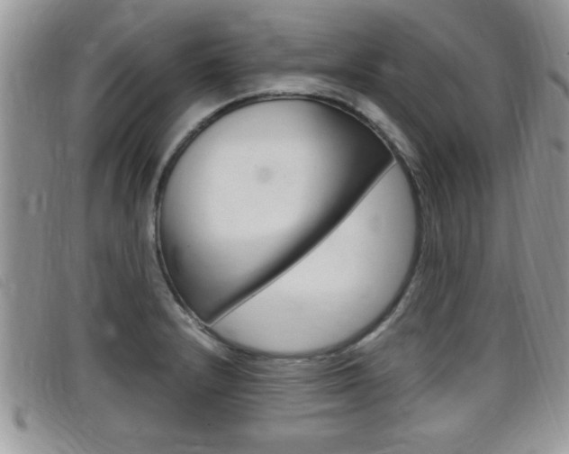 X0000099431232200805090720