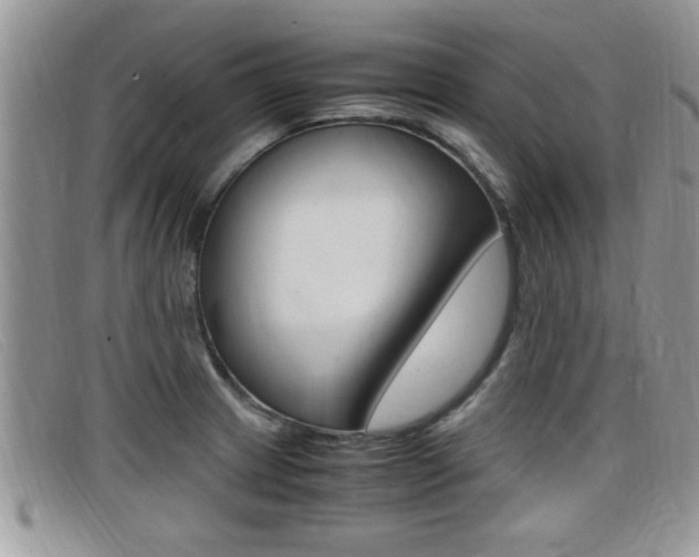 X0000099431233200805090720