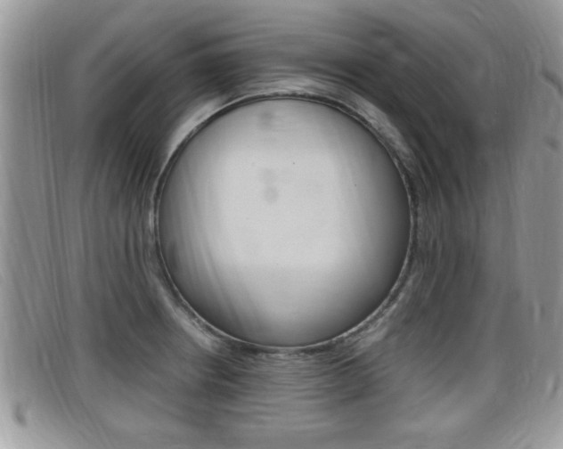 X0000099431234200805090720