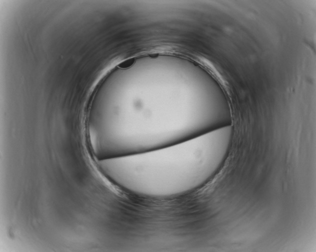 X0000099431235200805090720