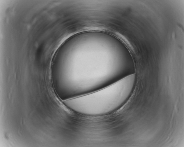 X0000099431236200805090720