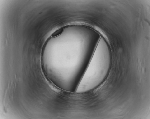 X0000099431237200805090720