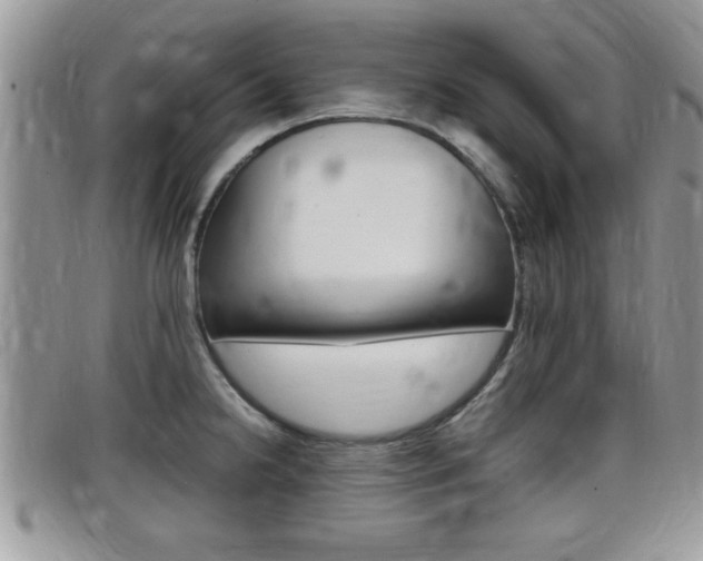X0000099431238200805090720