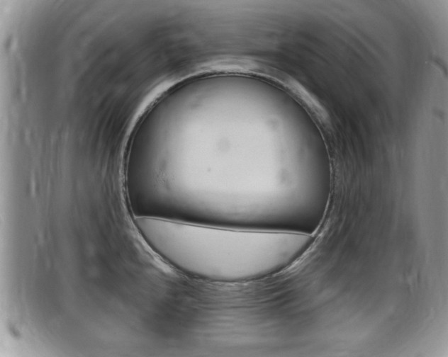 X0000099431240200805090720