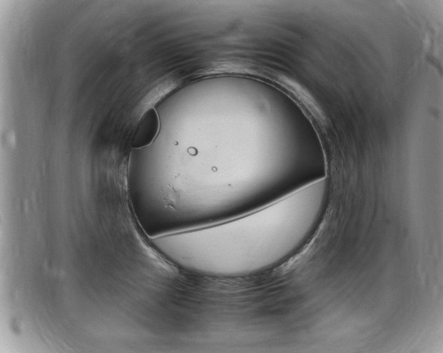X0000099431241200805090720
