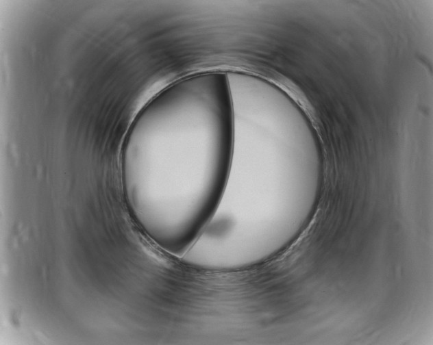 X0000099431242200805090720