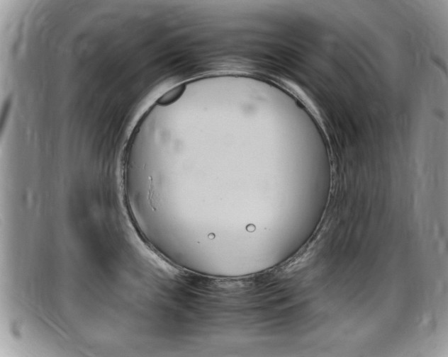 X0000099431243200805090720