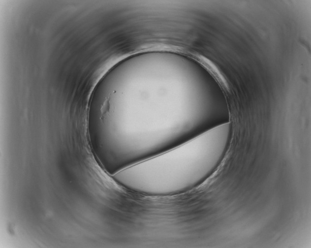X0000099431244200805090720