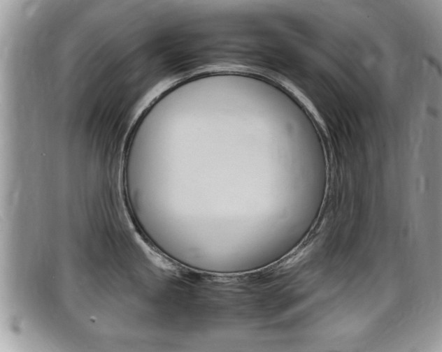 X0000099431245200805090720