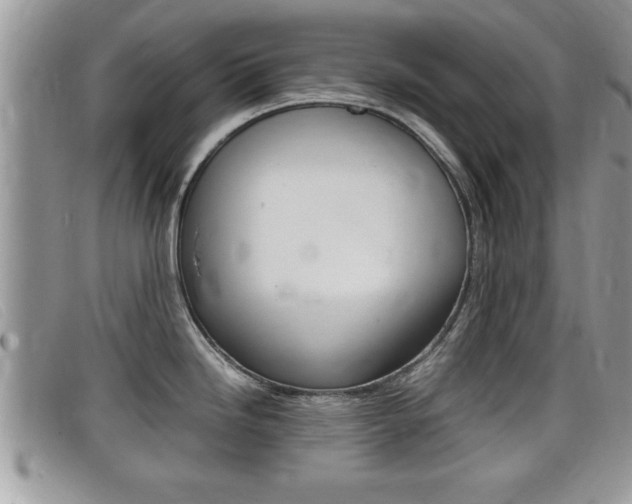 X0000099431246200805090720