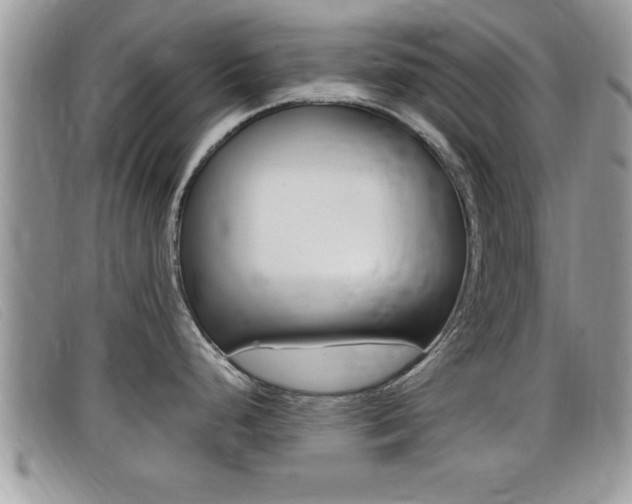 X0000099431248200805090720