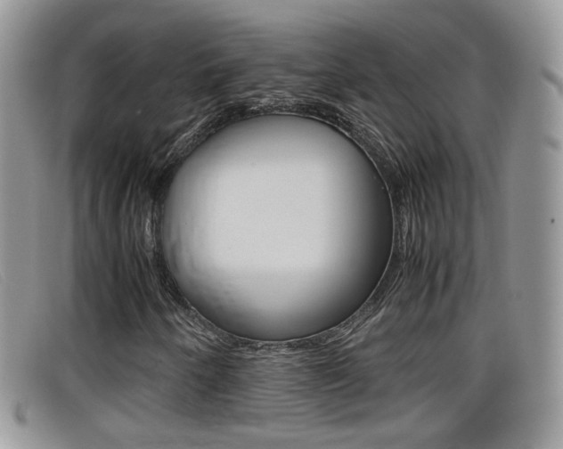 X0000099431250200805090719