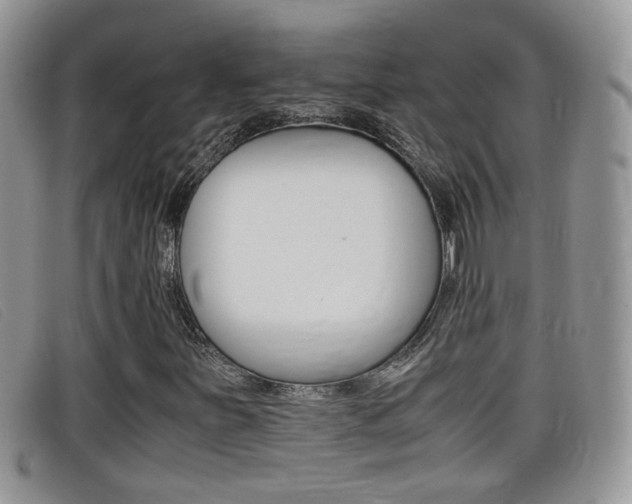 X0000099431251200805090719