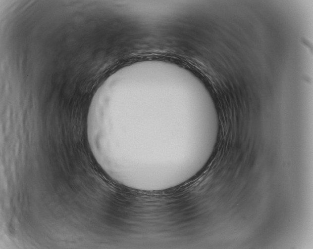 X0000099431252200805090719