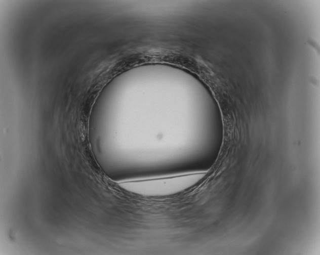 X0000099431253200805090719