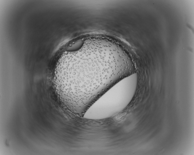 X0000099431255200805090719
